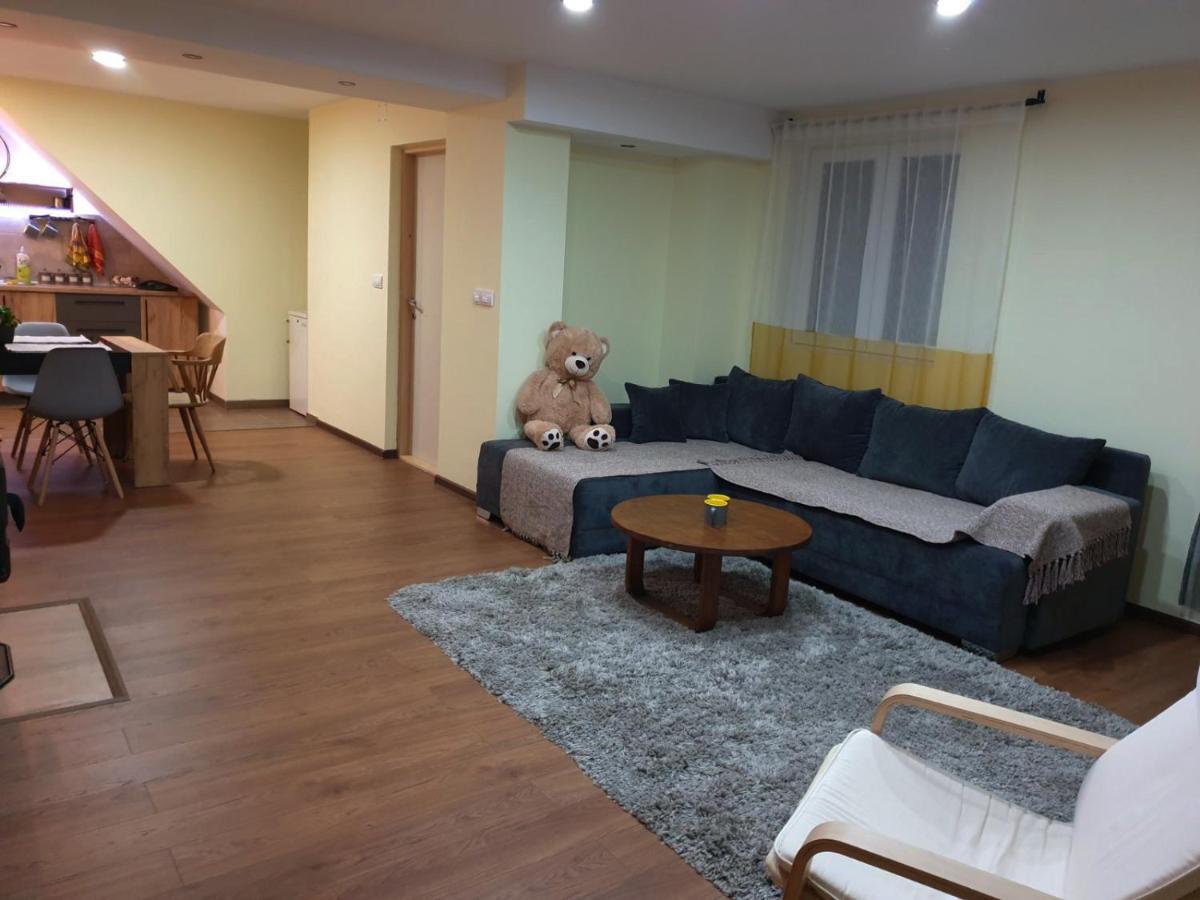 Nikas Apartman Donji Milanovac Luaran gambar
